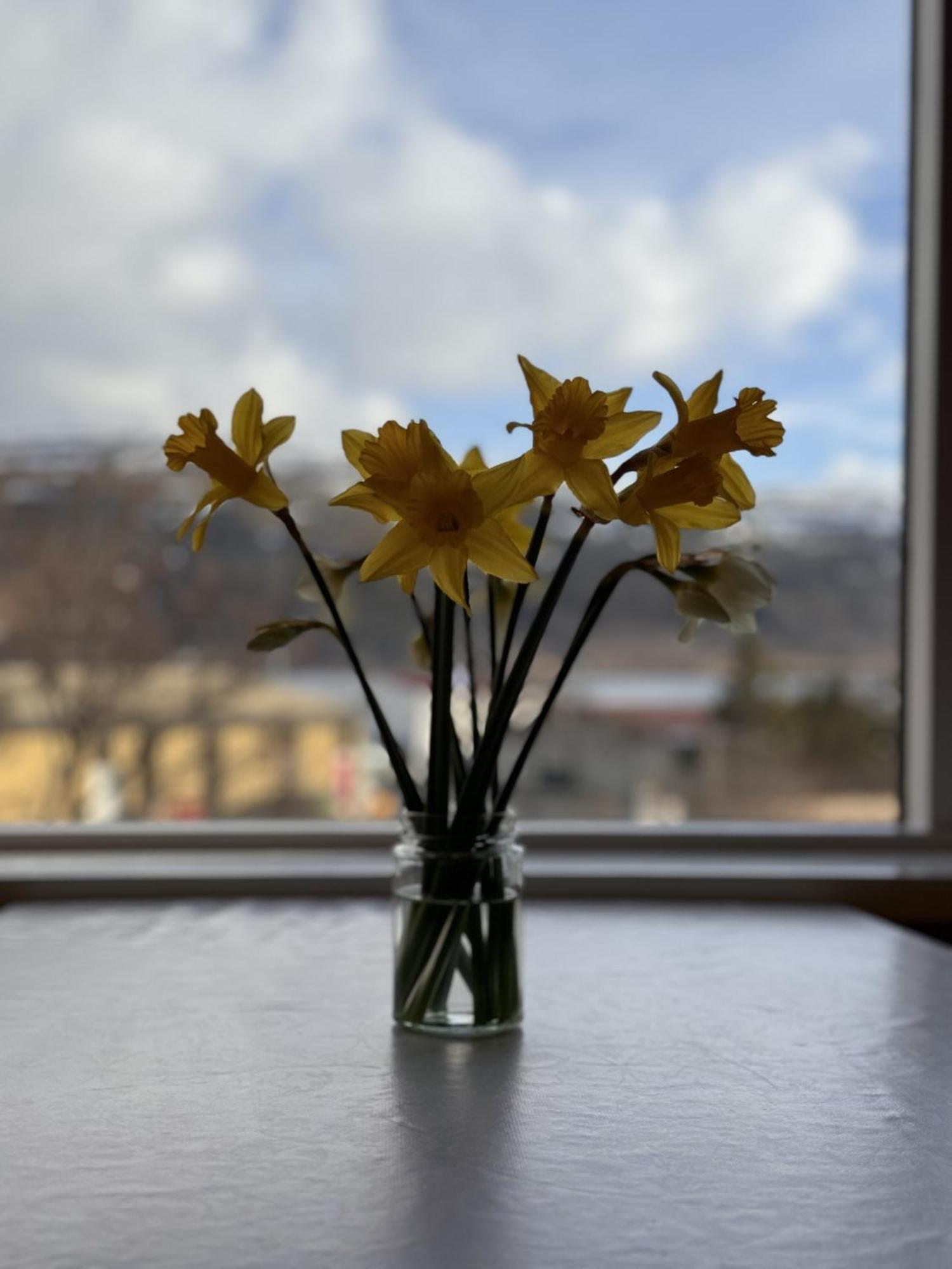 Guesthouse Talknafjoerthur 외부 사진